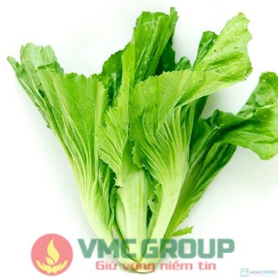 CẢI BẸ XANH