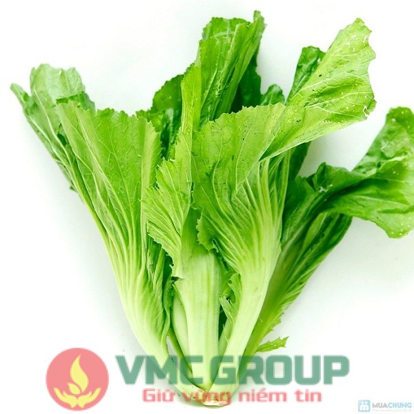 CẢI BẸ XANH