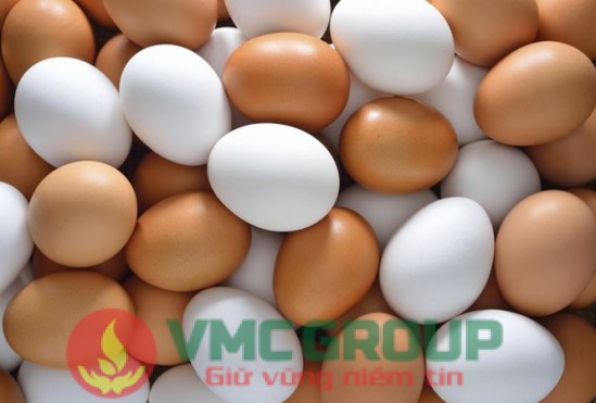 TẨY TRẮNG THỰC PHẨM