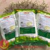 VMC-BP- CẢI THIỆN CẤU TRÚC SẢN PHẨM TỪ TINH BỘT, BÚN, MÌ, PHỞ
