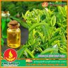 Hương trà xanh thực phẩm