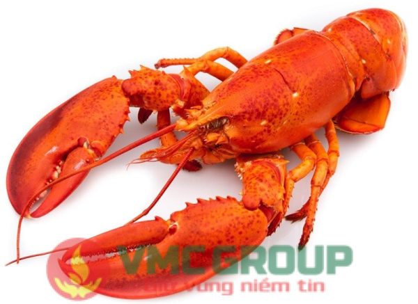 TÔM KHÔ