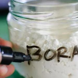 NEOBOR BORAX – HÀN THE – BORAX PENTAHYDRATE MỸ