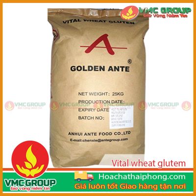 TOP 5+ ỨNG DỤNG CỦA WHEAT GLUTEN TRONG THỰC PHẨM